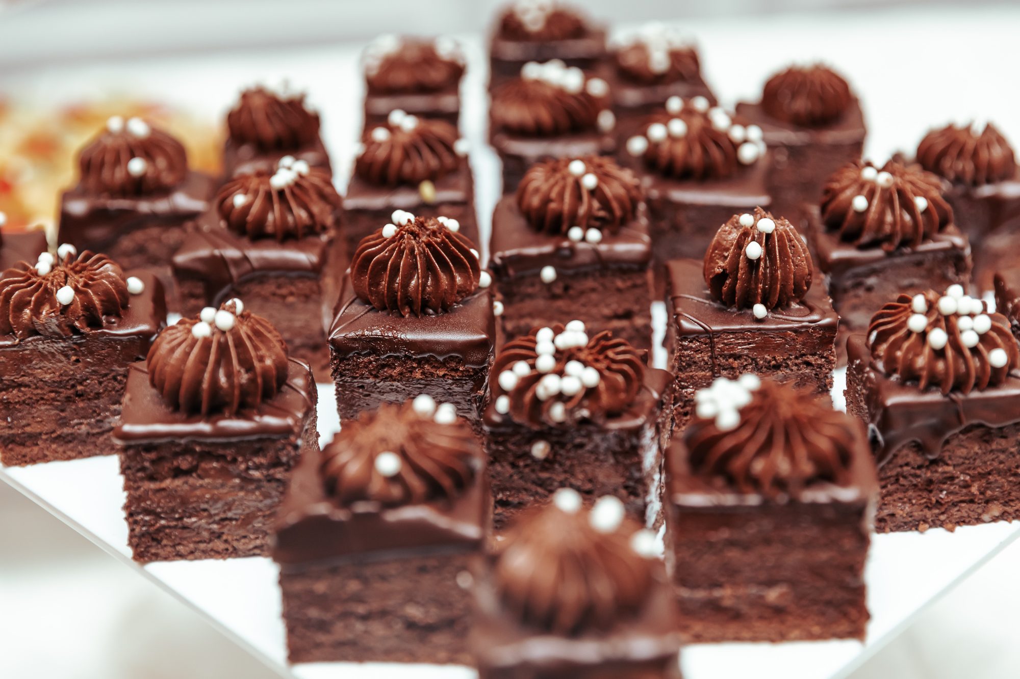 Portofoliu Majorat - fotografie 71